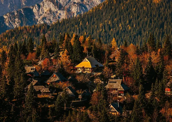 Σαλέ Koca Bistra - Velika Planina Stahovica