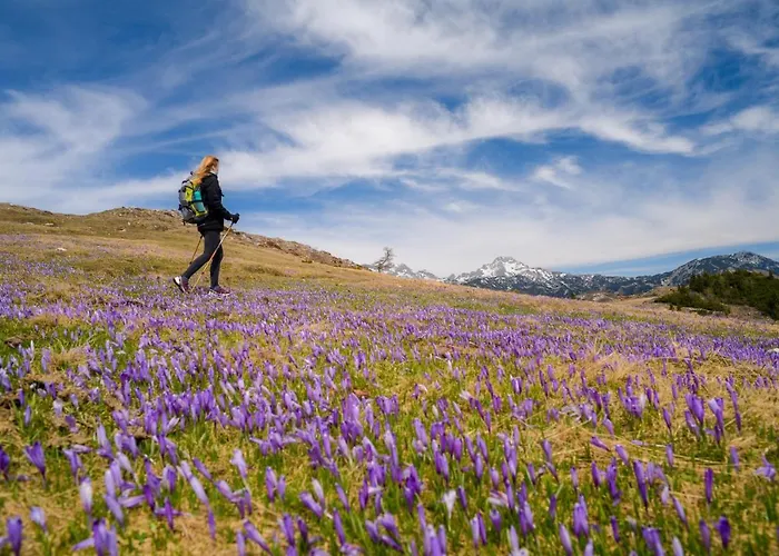 Σαλέ Koca Bistra - Velika Planina *