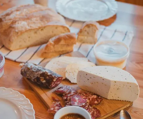 Koca Bistra - Velika Planina Σαλέ