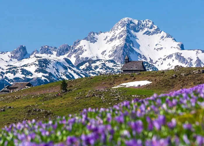 Koca Bistra - Velika Planina