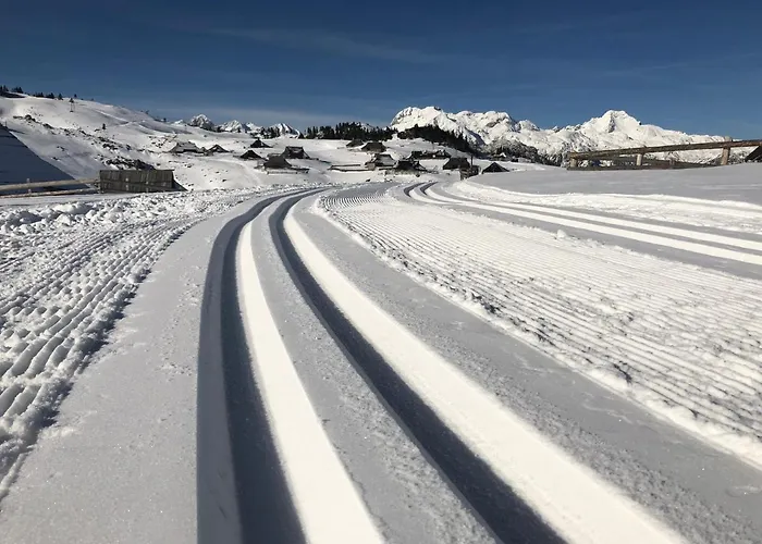 Koca Bistra - Velika Planina * Stahovica