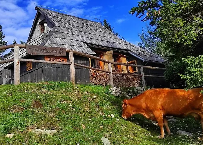 Σαλέ Koca Bistra - Velika Planina