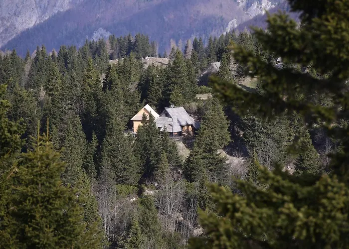 Koca Bistra - Velika Planina