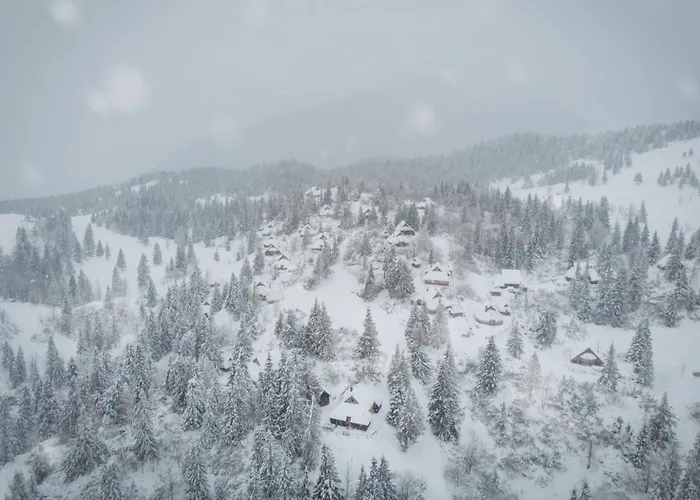 Koca Bistra - Velika Planina *