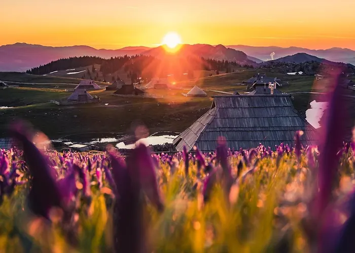 Koca Bistra - Velika Planina