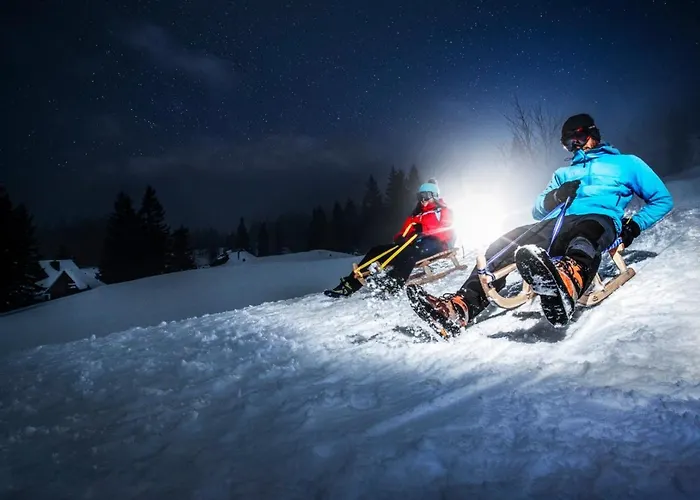 Koca Bistra - Velika Planina