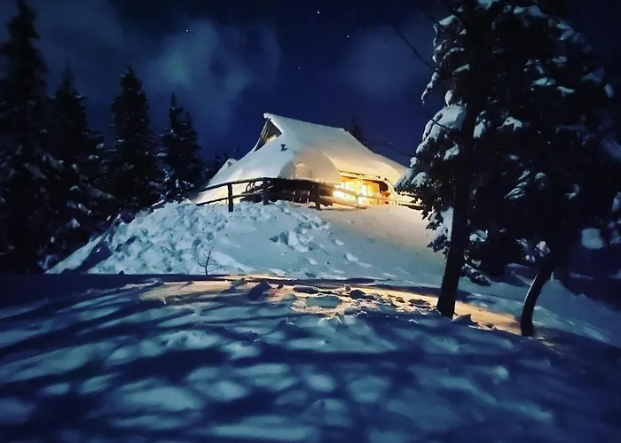 Koca Bistra - Velika Planina Σαλέ Stahovica