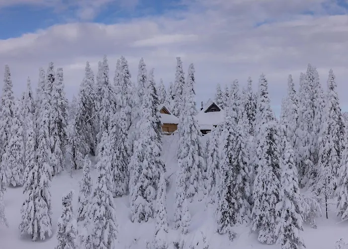 Koca Bistra - Velika Planina Stahovica