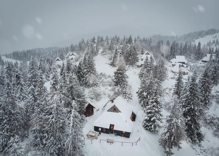 Koca Bistra - Velika Planina