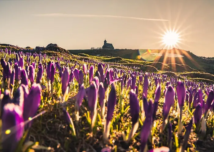 Horská chata Koca Bistra - Velika Planina *