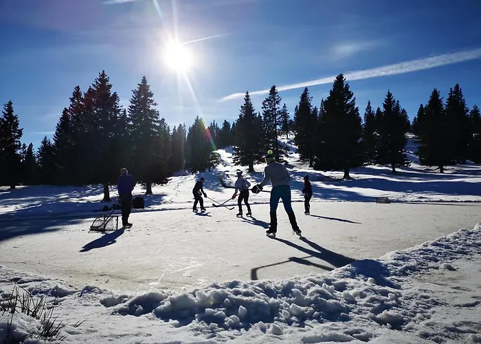 Koca Bistra - Velika Planina * Stahovica